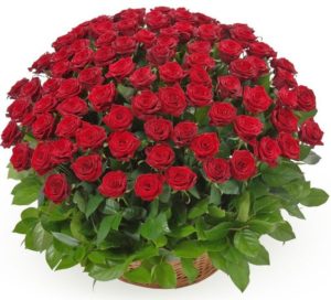 Корзина ритуальная из живых цветов "Бархатная роза-100"